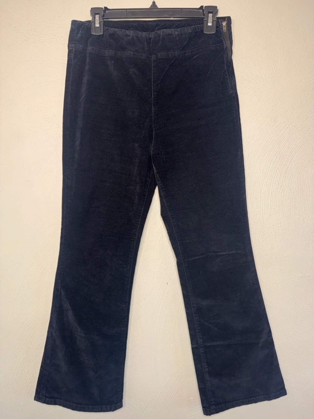 Free People Velvet Pants